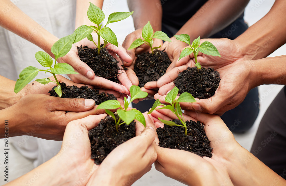 Agriculture, earth day and hands with leaves and soil for community, collaboration or solidarity. Su