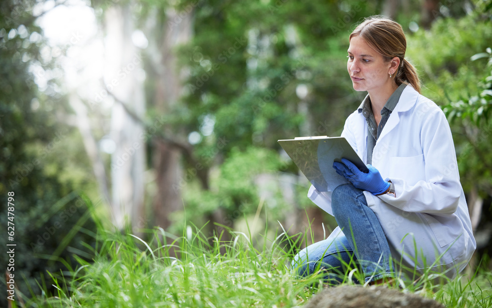 Science in forest, analysis and woman with checklist in nature, studying growth of trees and sustain