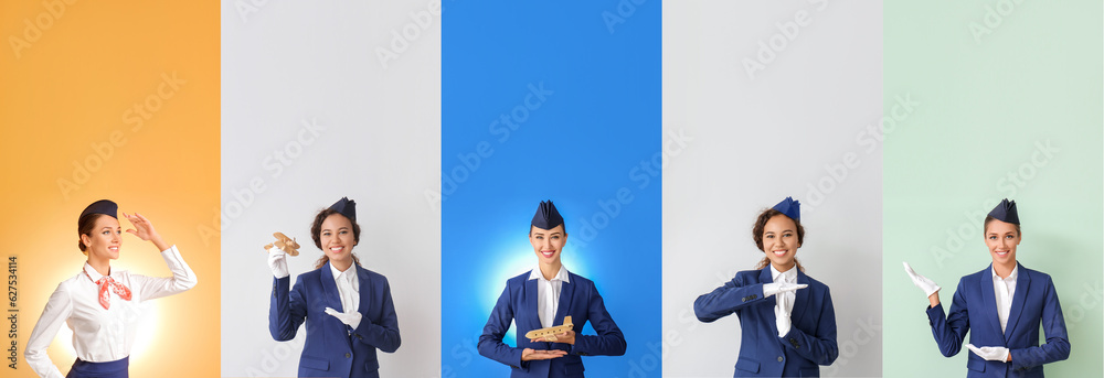 Set of beautiful stewardesses on color background