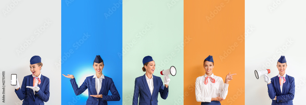 Set of beautiful stewardess on color background