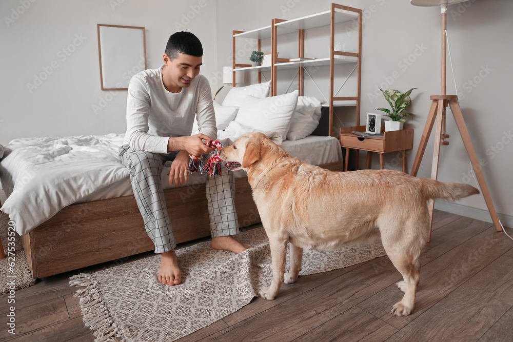 Young man playing with cute Labrador dog and toy in bedroom