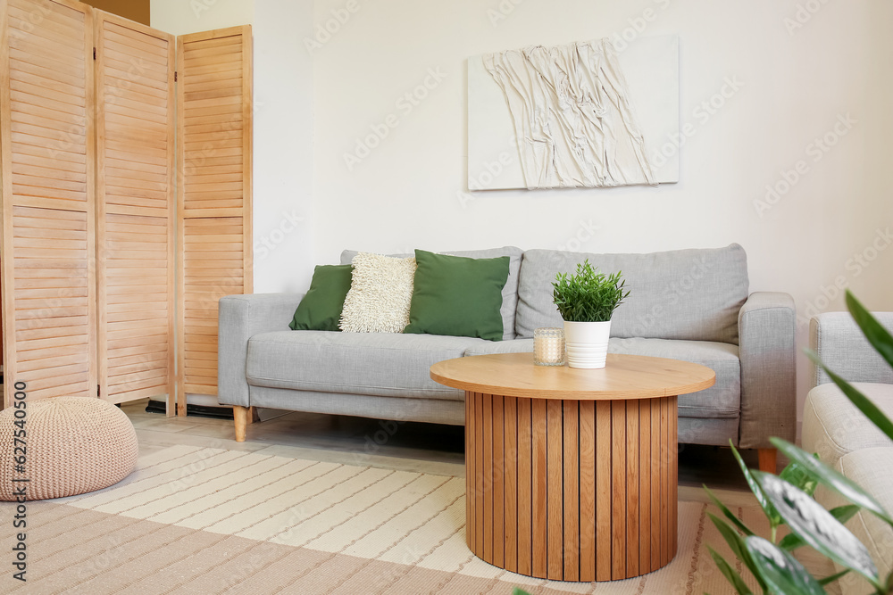 Interior of light living room with grey sofa and houseplant on coffee table