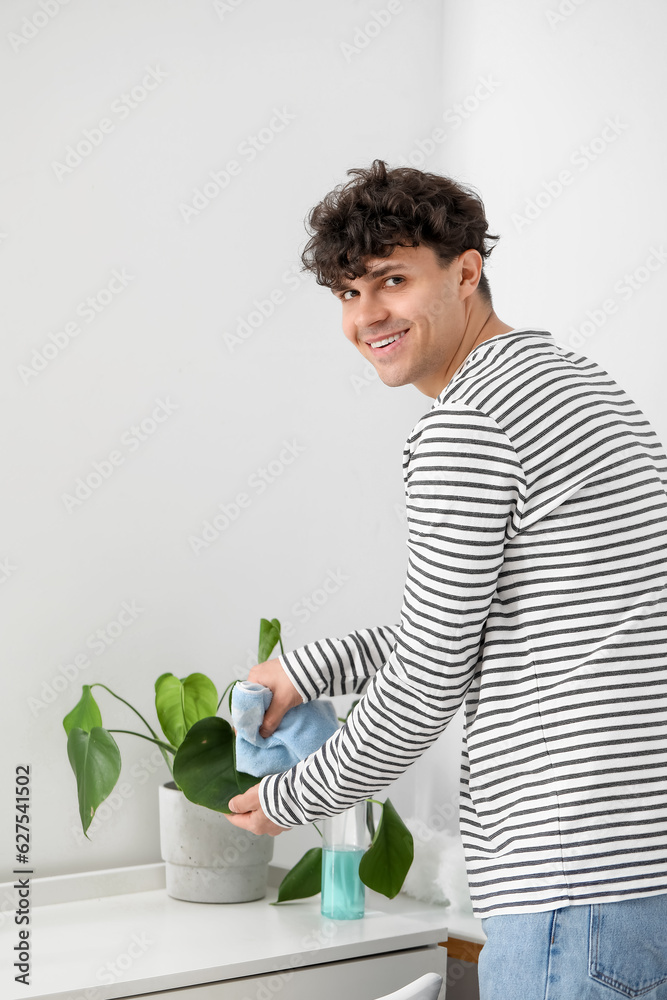 Young man cleaning houseplant at home