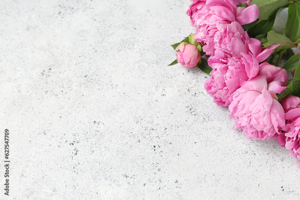 Pink peony flowers on light background