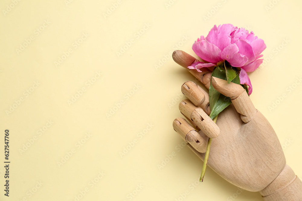 Wooden hand with beautiful peony flower on color background