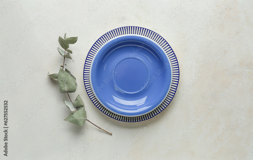 Clean plate and eucalyptus branch on grey table