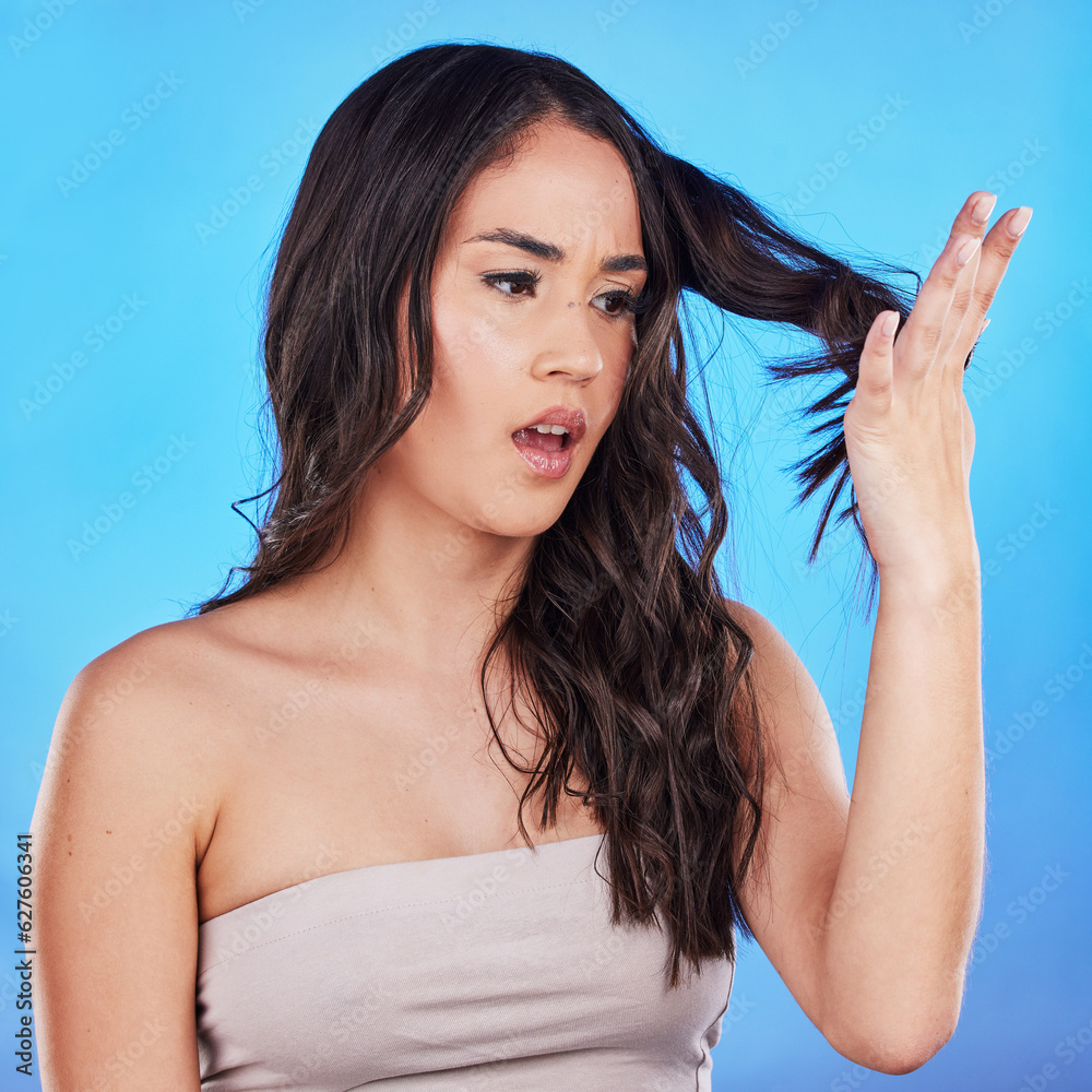 Hair, problem and woman with worry or damage in blue studio background with mistake or spilt ends. H