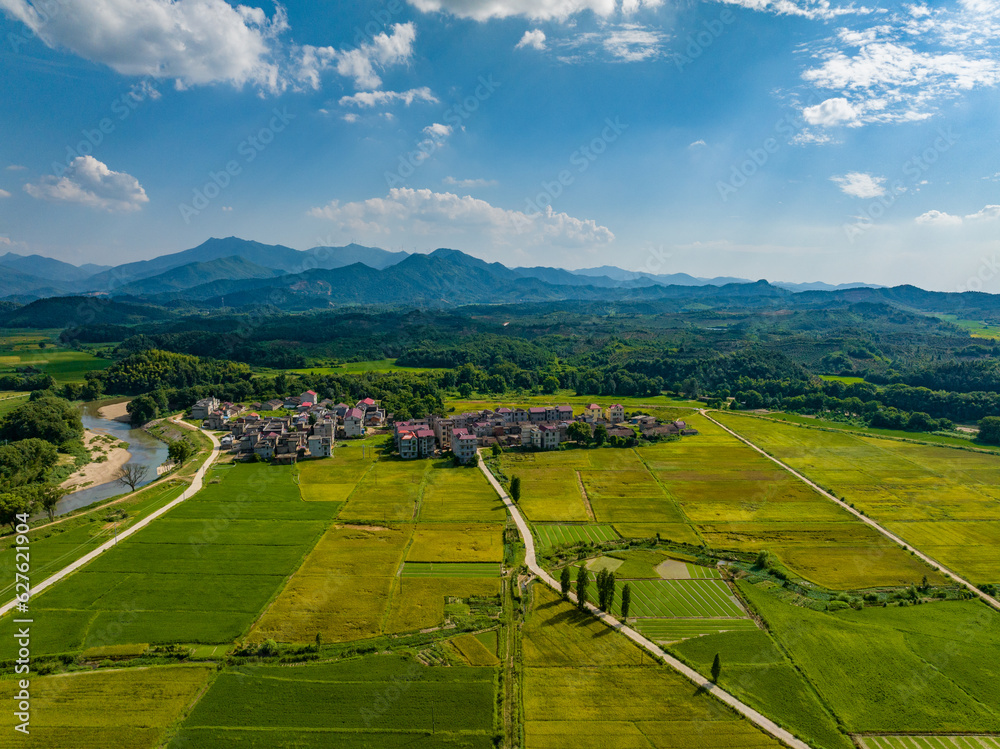 Rural rural scenery, green rice field, blue sky and white clouds, Jiangxi, China