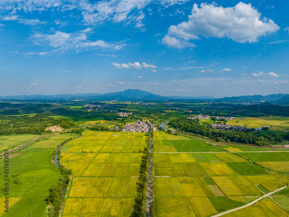 Rural rural scenery, green rice field, blue sky and white clouds, Jiangxi, China