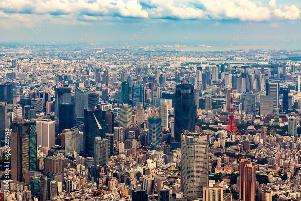 Aerial view of Minato City, Tokyo, Japan