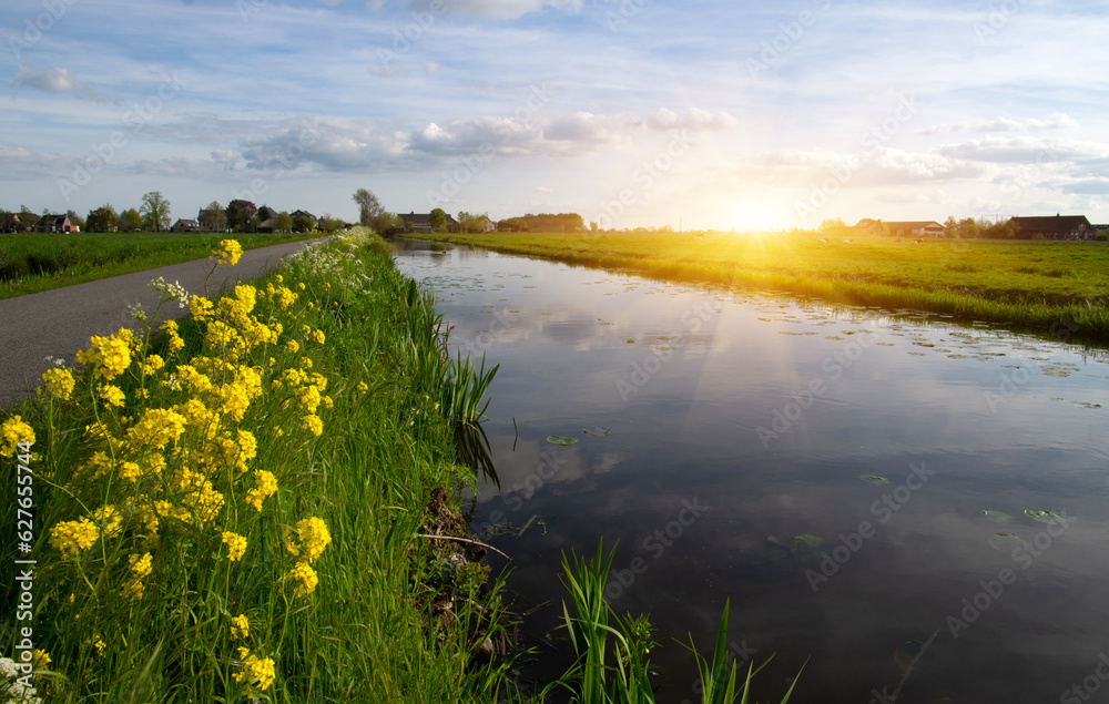 Landscape green meadow and canal with clear water