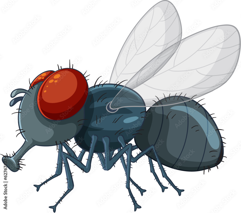 Fly insect isolated cartoon