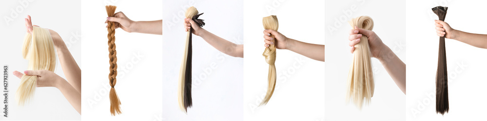 Set of hands holding different hair strands on white background