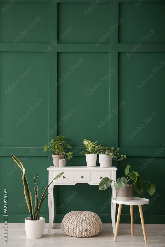 Tables with houseplants and pouf near green wall in room