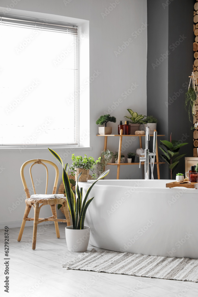 Interior of bathroom with green houseplants and bathtub