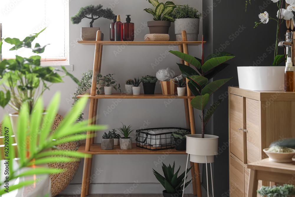 Shelving unit with green houseplants and bath accessories in room