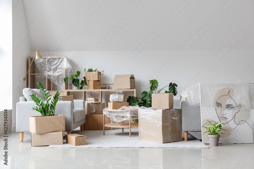 Cardboard boxes with sofas and houseplants in living room on moving day