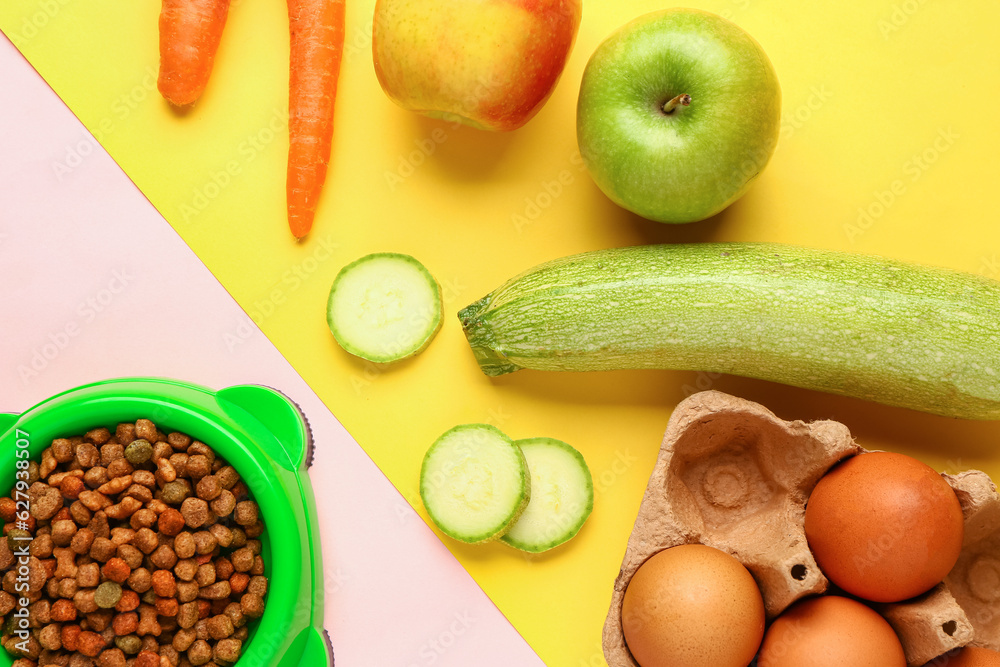 Bowl with dry pet food and natural products on color background