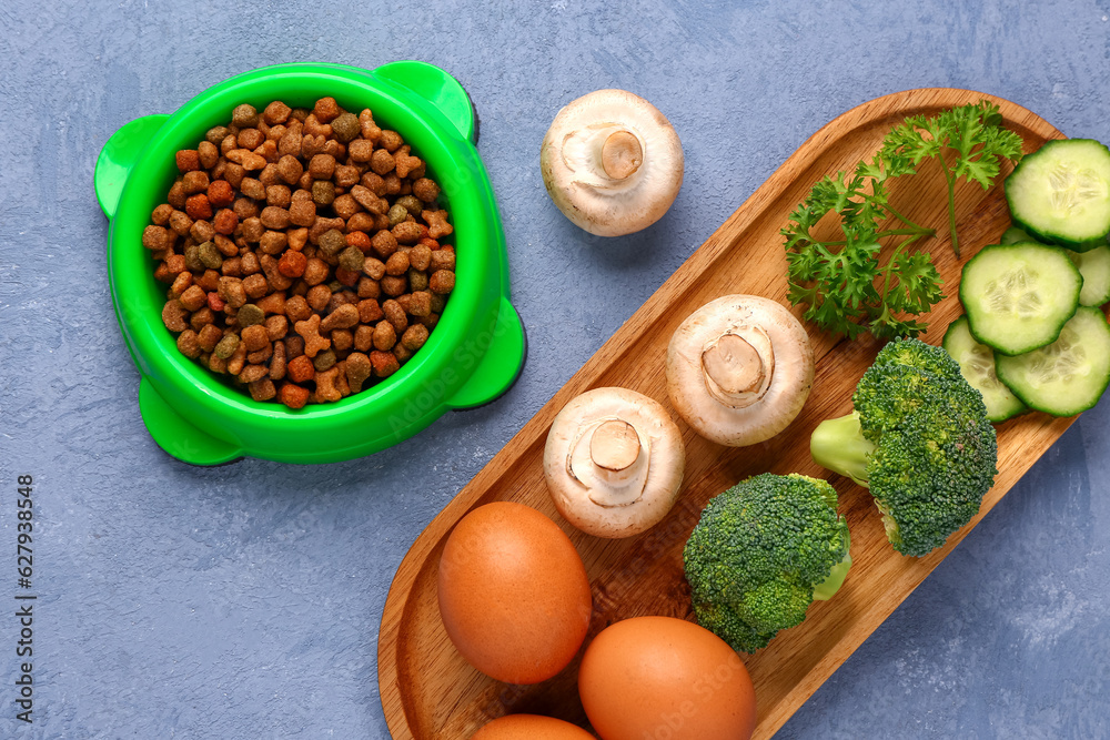 Bowl with dry pet food and natural products on color background