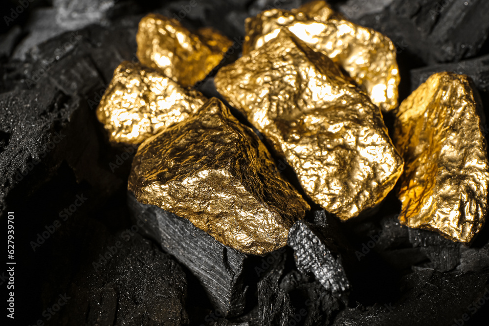 Golden nuggets on black charcoal, closeup