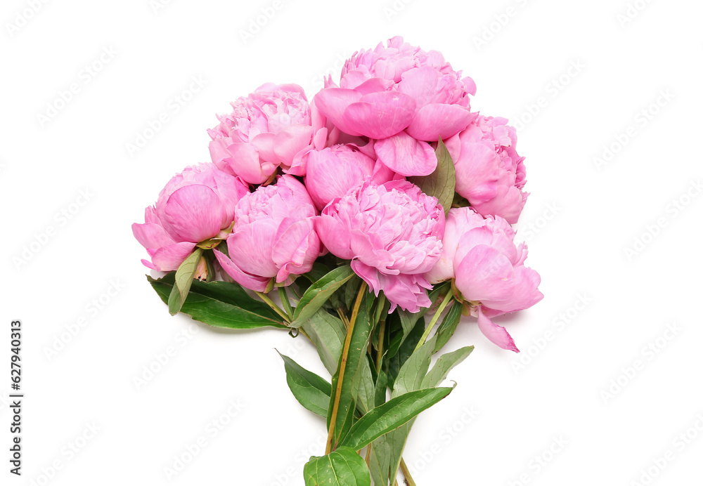 Bouquet of pink peony flowers on white background