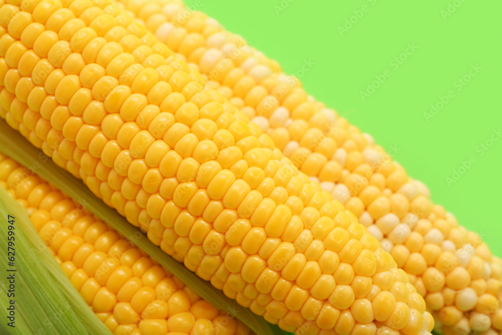 Fresh corn cobs on green background, closeup