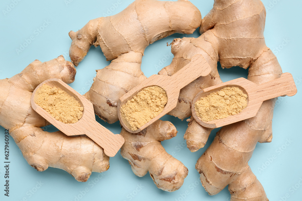 Fresh ginger roots and wooden scoops with dried powder on blue background