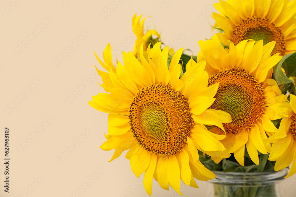 Vase with beautiful sunflowers on beige background, closeup