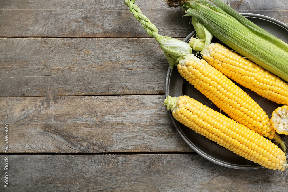 Plate with fresh corn cobs on grey wooden table