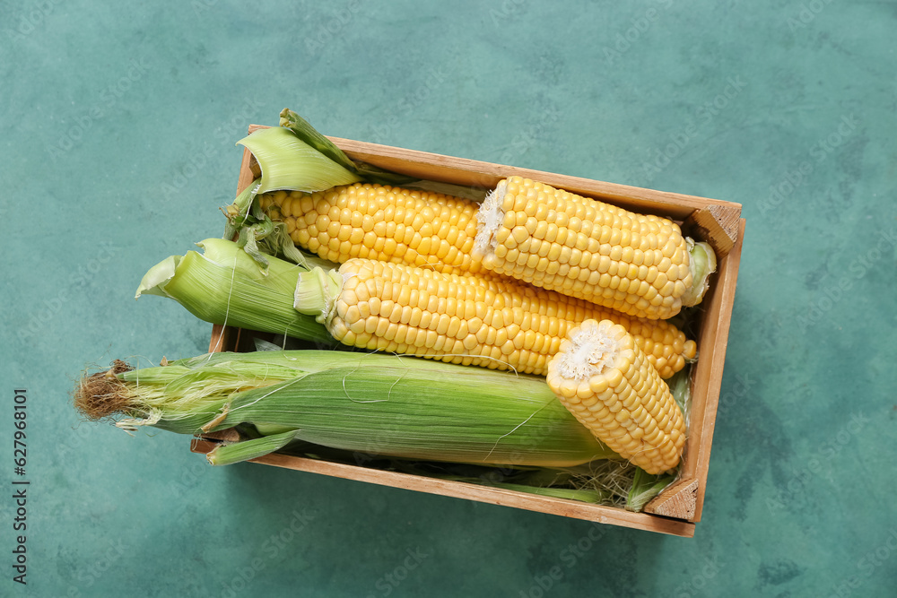 Wooden box with fresh corn cobs on green table