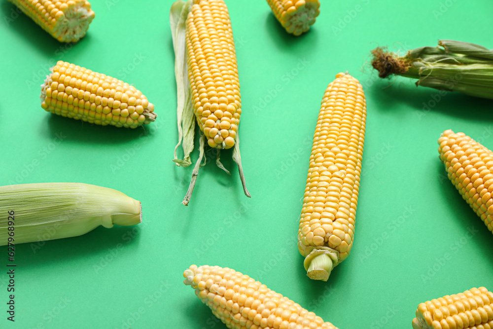 Fresh corn cobs with husk on green background