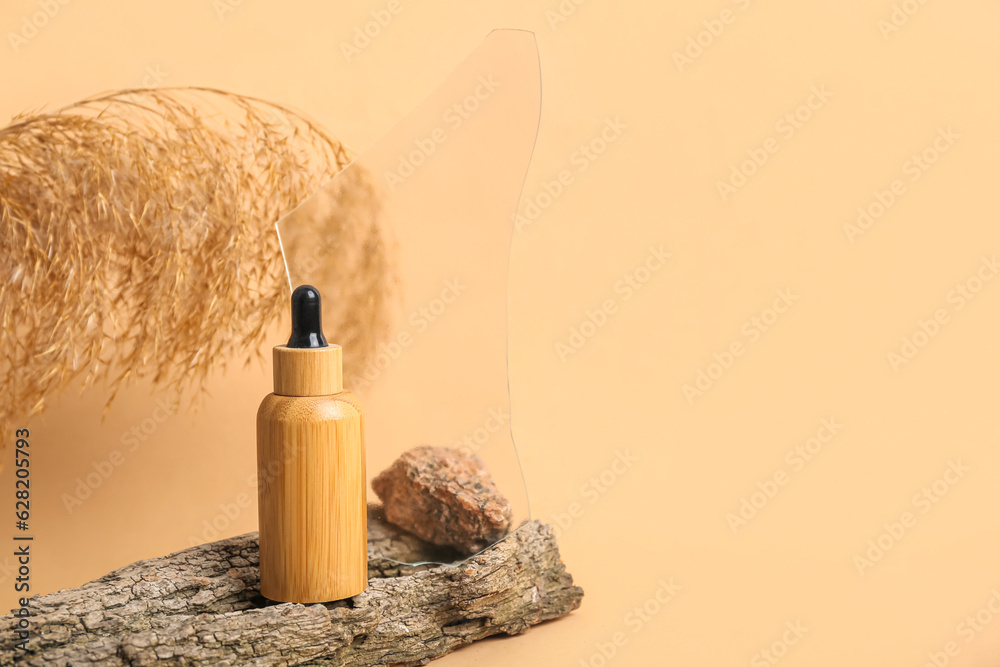 Tree bark with bottle of essential oil, glass and pampas grass on color background