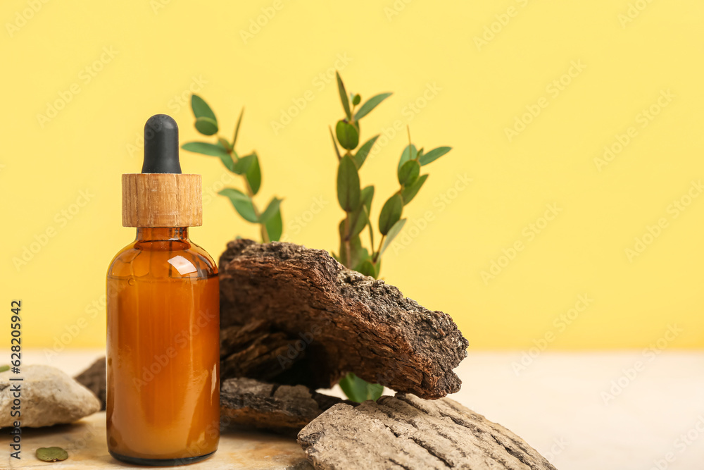 Composition with bottle of essential oil, stones, tree bark and eucalyptus branches on table against