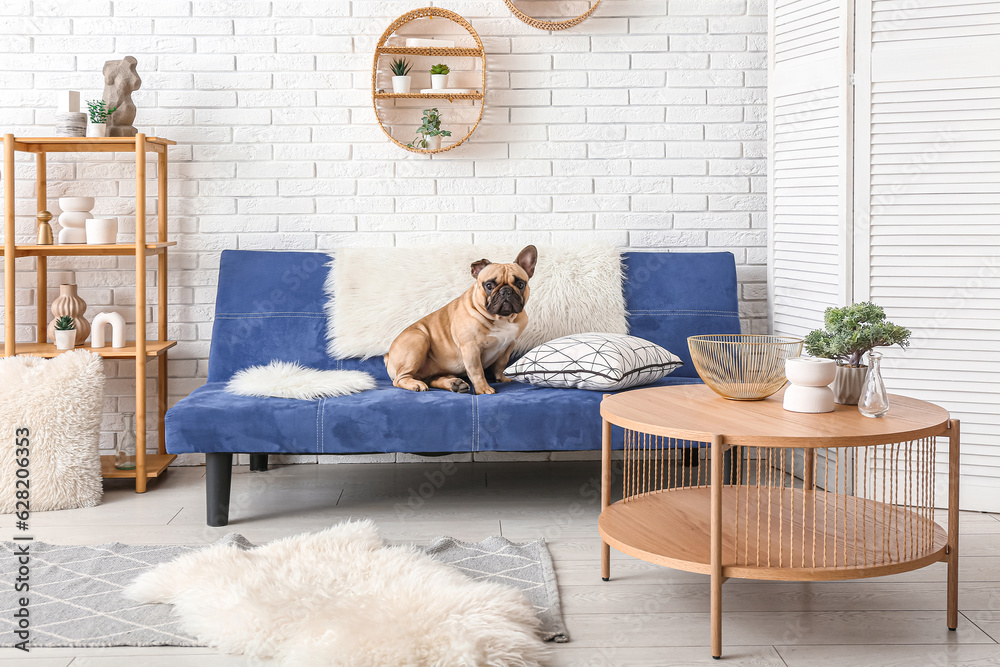 Cute French bulldog sitting on sofa in living room