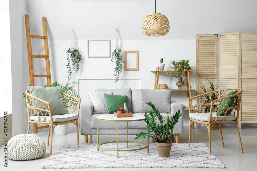 Interior of light living room with plants, sofa and armchairs