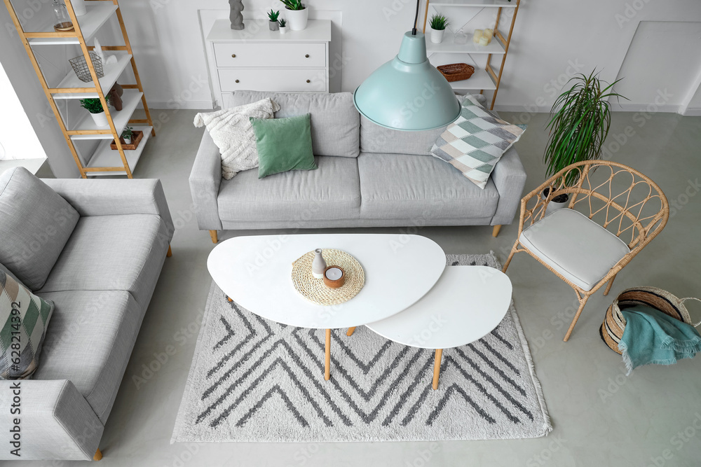 Interior of light living room with plants, sofas and coffee tables, top view