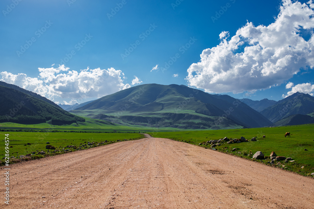 Picturesque mountain landscape with road perspective