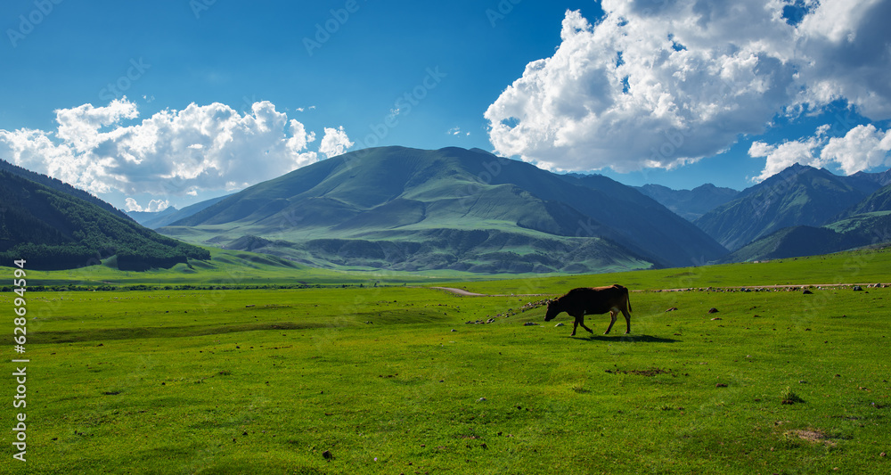 Picturesque mountain landscape with cow grazing on a green meadow