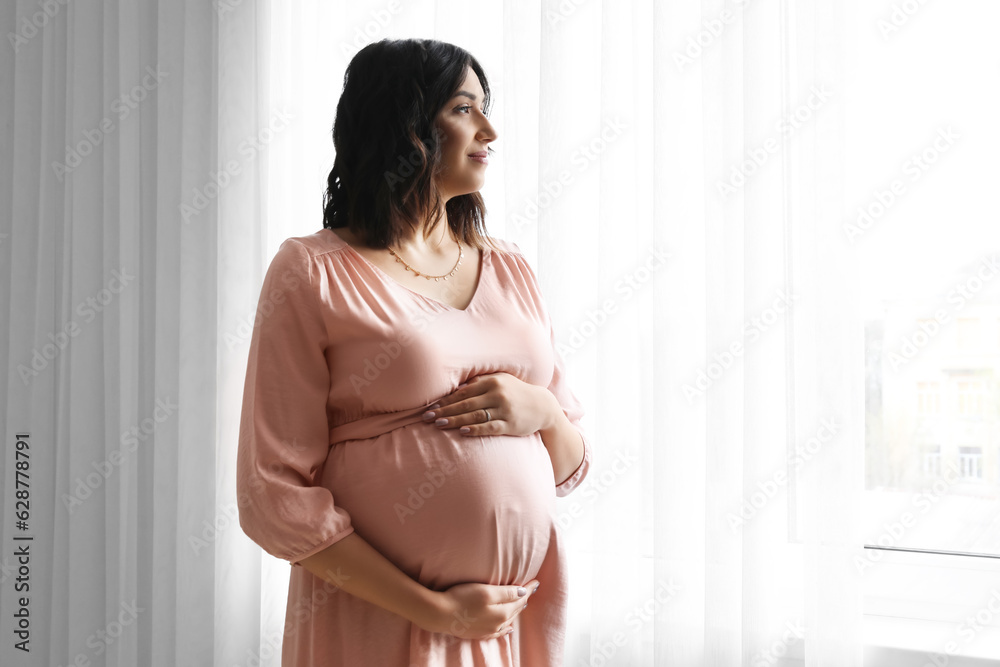 Young pregnant woman near window at home