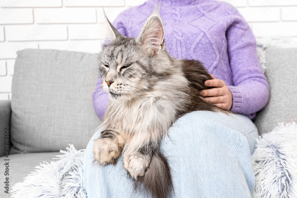 Woman with her Maine Coon cat sitting on sofa at home, closeup