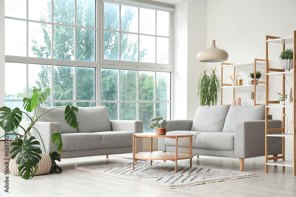 Interior of light living room with grey sofas, coffee table, houseplants and big window