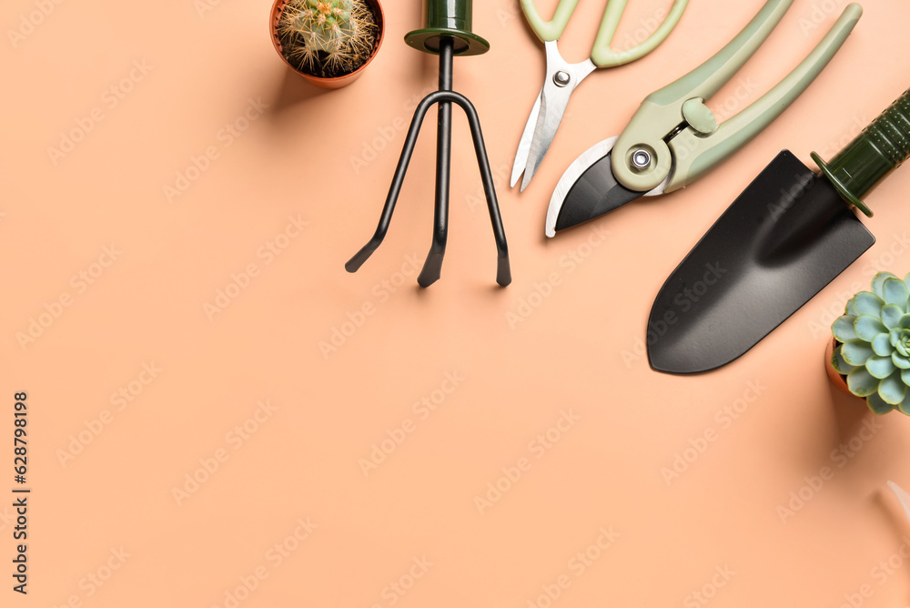 Set of gardening tools on beige background