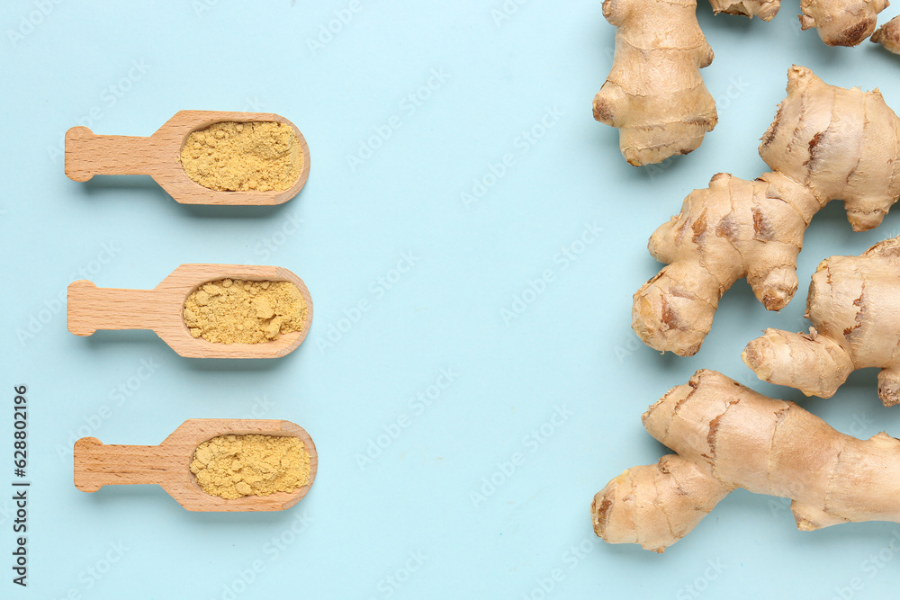 Fresh ginger roots and wooden scoops with dried powder on blue background