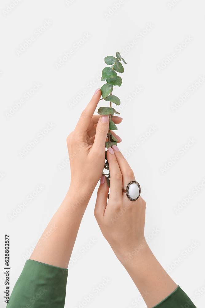 Female hands with beautiful vintage ring and eucalyptus branch on white background