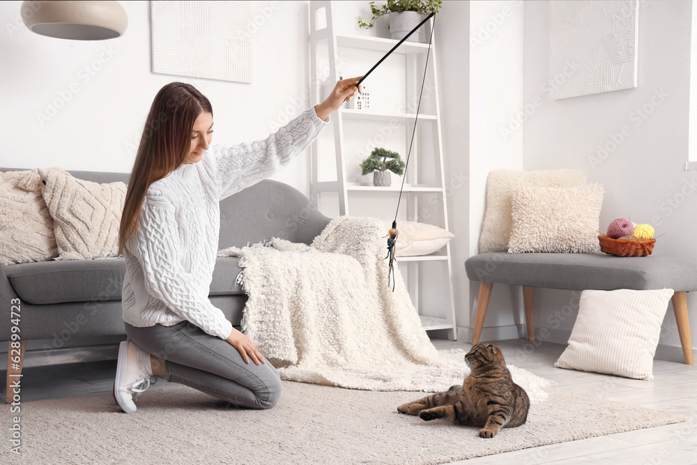 Woman playing with striped Scottish fold cat at home