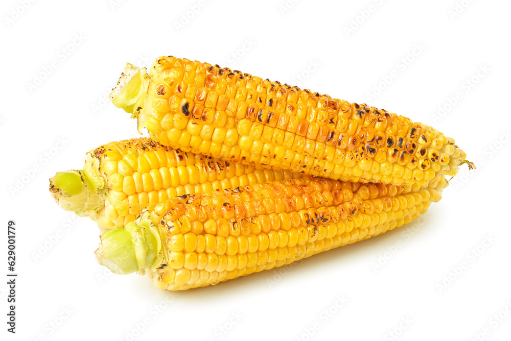 Tasty grilled corn cobs on white background