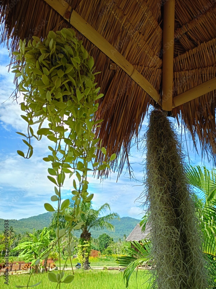 hut in the jungle and leaves hanging in house resort 