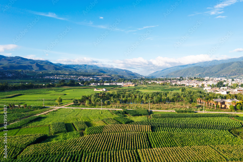 Village and fields in Shaxi, Yunnan, China.