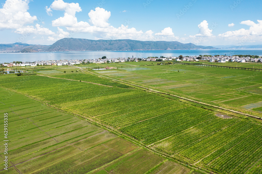 Fields and villages in Yunnan, China.