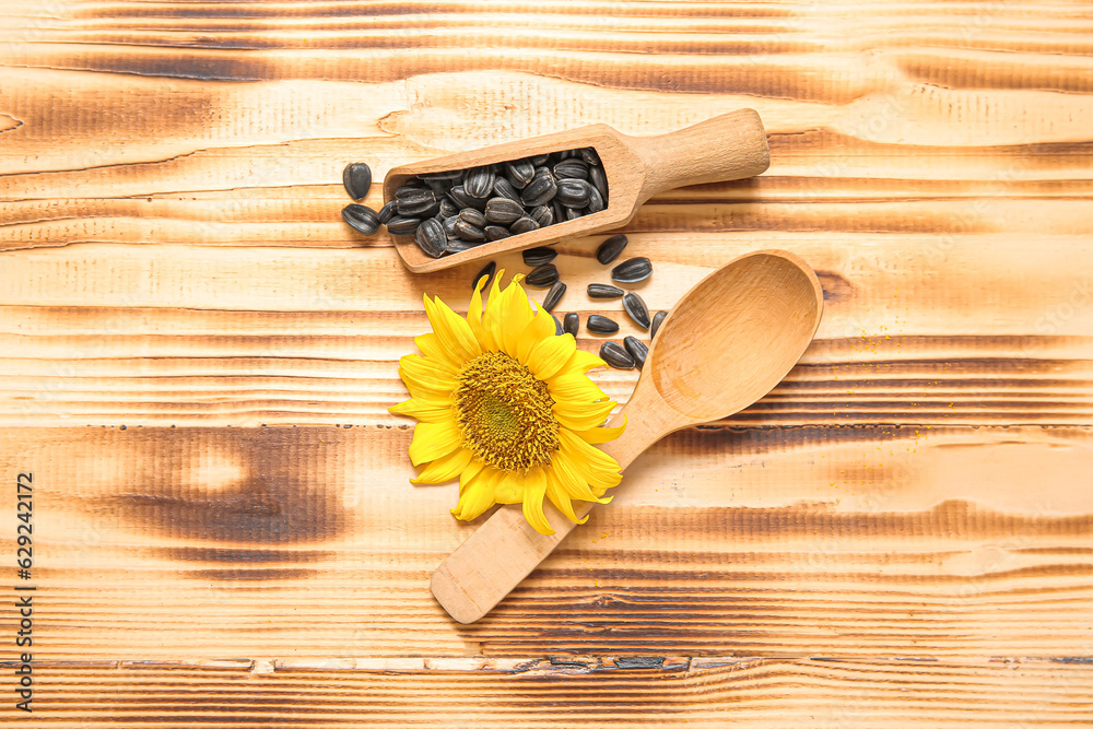 Beautiful sunflower and scoop with seeds on wooden background